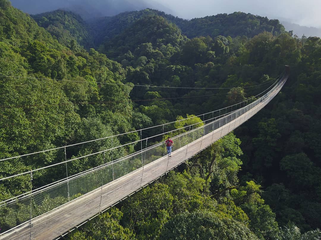 Serbu! One Day Trip Suspension Bridge Situ Gunung Cuma 300 Ribu 1 Suspension Bridge Situ Gunung
