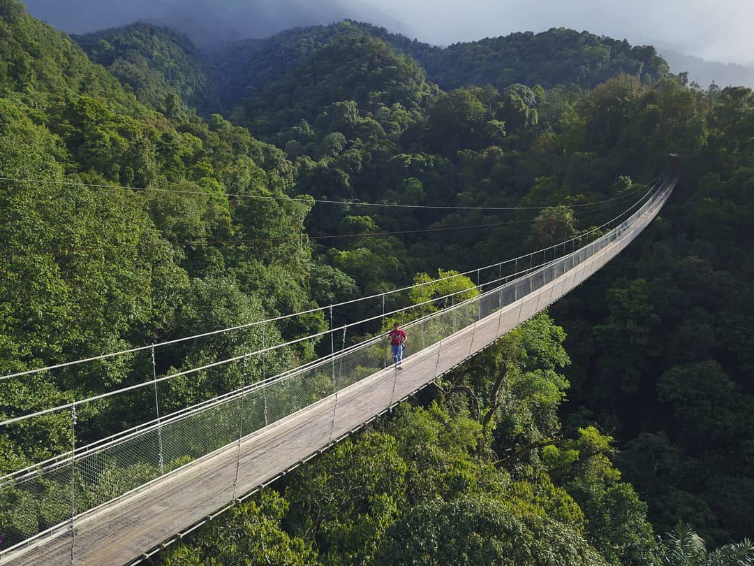 Suspension Bridge Situ Gunung